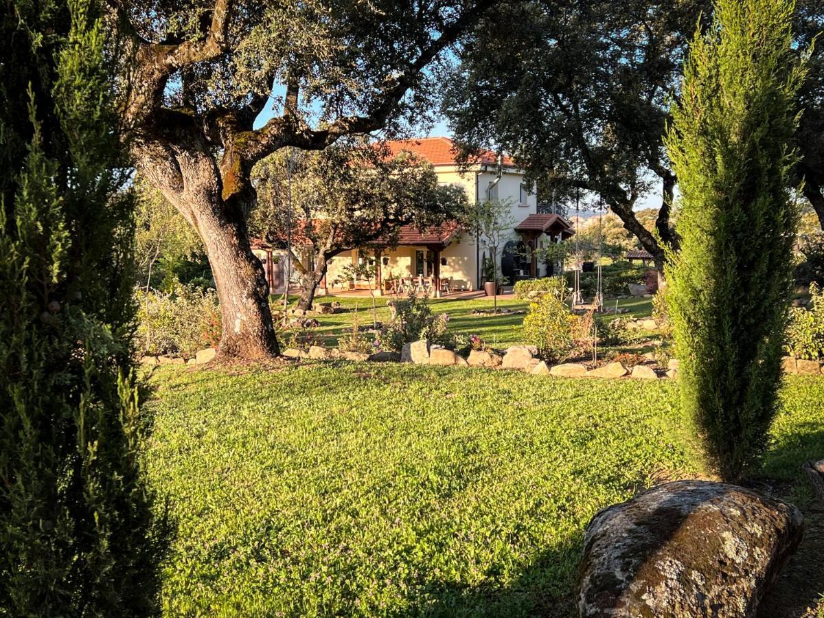 Вилла La Encina Guapa Casa Rural 20,000M2 De Intimidad Ла-Иглесуэла Экстерьер фото