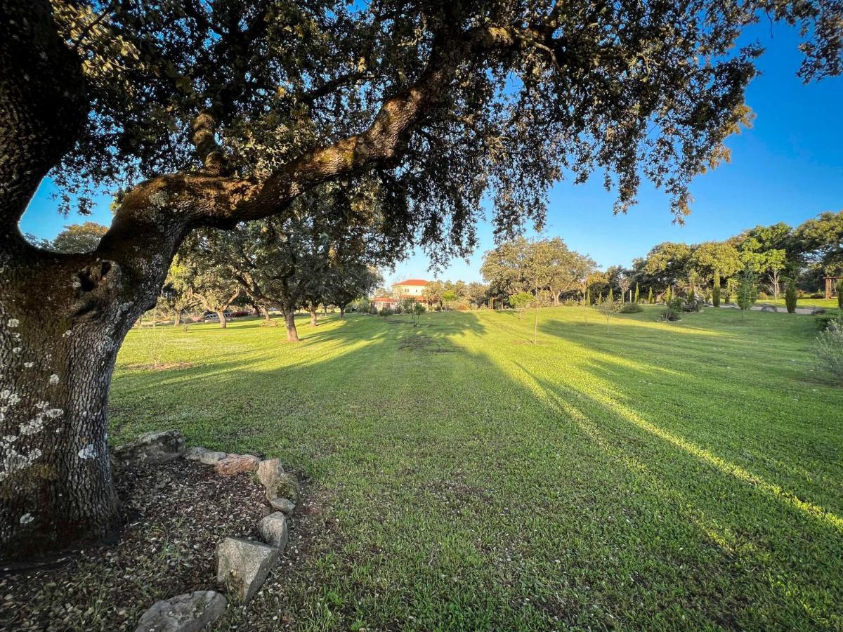 Вилла La Encina Guapa Casa Rural 20,000M2 De Intimidad Ла-Иглесуэла Экстерьер фото