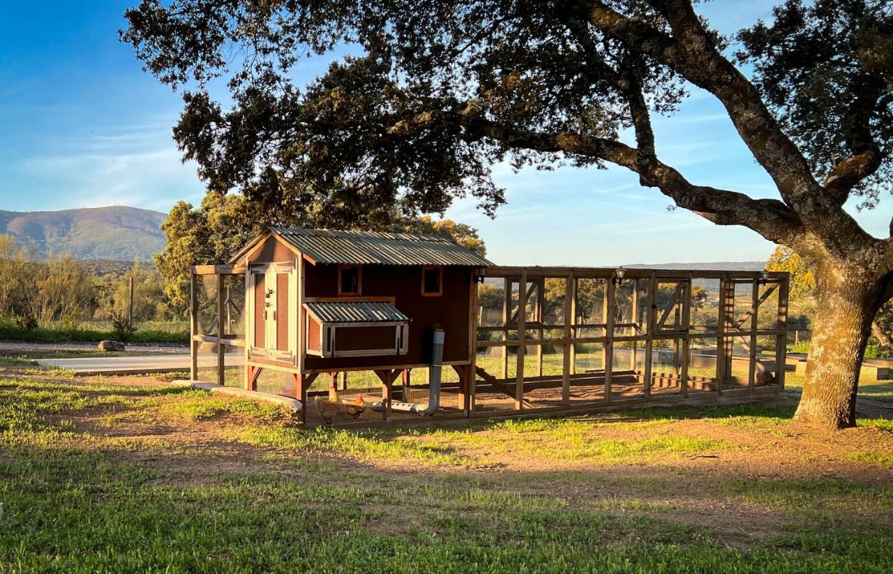 Вилла La Encina Guapa Casa Rural 20,000M2 De Intimidad Ла-Иглесуэла Экстерьер фото