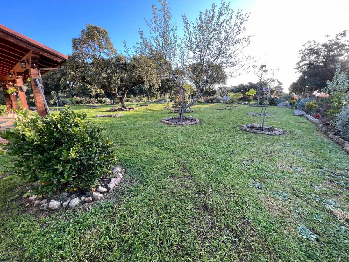Вилла La Encina Guapa Casa Rural 20,000M2 De Intimidad Ла-Иглесуэла Экстерьер фото